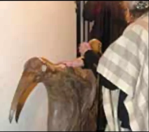 Fotografía del proceso de creación de la escultura "Bird mirror"